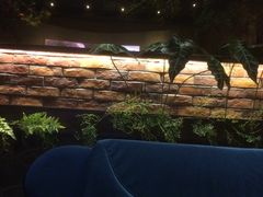 -观唐足道SPA养生会馆(南湖店)