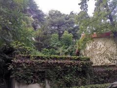 -北极阁公园