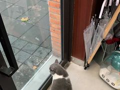 -PHOTOWITH 自助照相馆