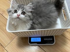 -联合动物医院(光谷诊疗中心)
