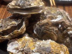 -蚝堡海鲜·威海菜·海肠捞饭·烧烤·亚洲吃蚝公司(幸福门店)