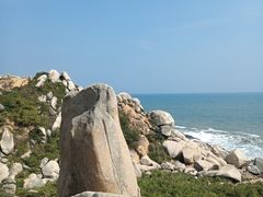 -广东惠东海龟国家级自然保护区