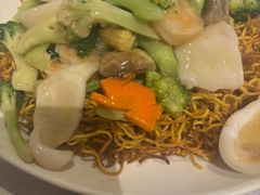 -食为先(Shark Fin)