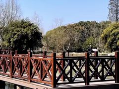 -白塔湖国家湿地公园