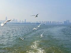 -东湖落雁景区