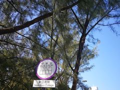 -大埔公路-马料水段香港中文大学(公交站)