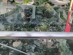 -北国商城