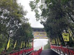 -姑婆山旅游区