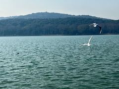 -水上明月·湖景餐厅