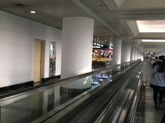 -厦门高崎国际机场-T3航站楼