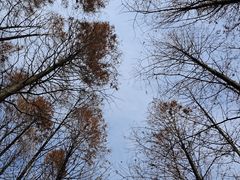 -渤公岛生态公园