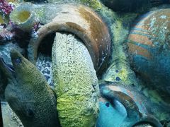 -太平洋海底世界