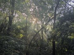 -广州市白云山风景名胜区