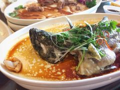 清蒸石斑-彩景大酒楼(万泰新天地店)