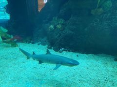 -鸿通城购物中心