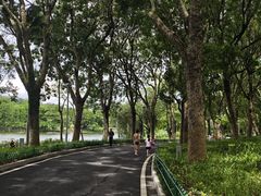 -东莞植物园