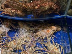 -海景壹号大酒店(滨湖店)