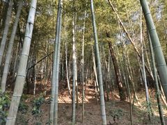 -长广溪湿地公园