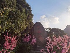 -桃花岛风景旅游区