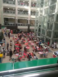 -首都医科大学附属北京儿童医院