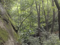 -大岭沟猕猴桃谷风景区