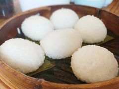 茨毛圆子-双塔老饭店