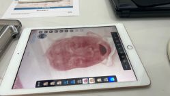 -韩芙莱芳疗spa健康管理
