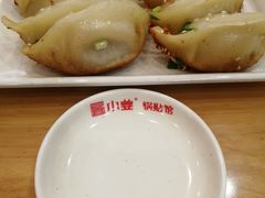 鲜肉锅贴-小姜锅贴(凤凰街店)