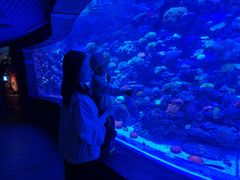 -太平洋海底世界