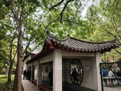 -莲花池公园