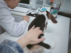 -悦宠凯宝动物医院·牙科·皮肤科(朝阳北路店)