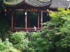 -杭州黄龙洞