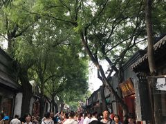 -中央戏剧学院(东城校区)