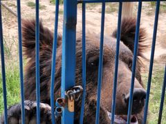 -鄂尔多斯野生动物园