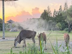 -宁波野生动物园