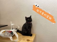 -士多咖啡·Stop Coffee