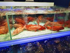 -盒马X会员店(上海森兰商都店)