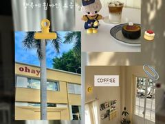 -是阿柴呀！柴犬咖啡·爱喵喵猫咖