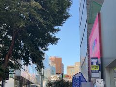 -乐天免税店(明洞店)