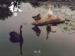 -白马涧龙池景区