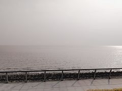-瀛洲公园