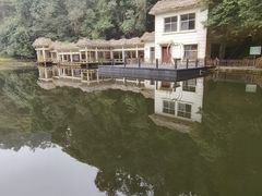 -云南屏边大围山国家公园