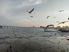 -星海广场