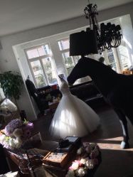 -纯色时光婚纱艺术馆WHITE