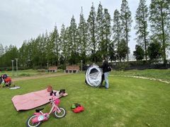 -前小桔亲子创意农场·草莓采摘·露营烧烤