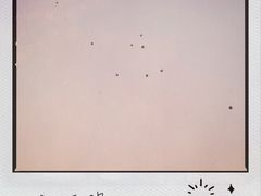 -梦之蓝青奥体育公园体育馆