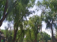 -张掖大佛寺景区