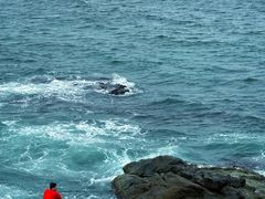 -清水湾旅游度假区