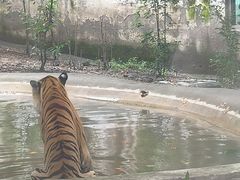 -成都动物园