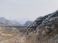-大岭沟猕猴桃谷风景区